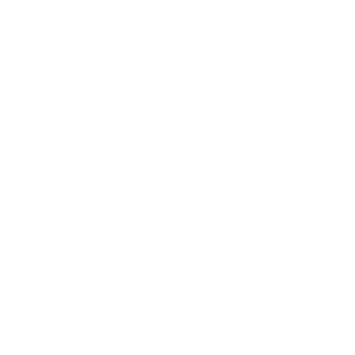 WE THE YOUTH